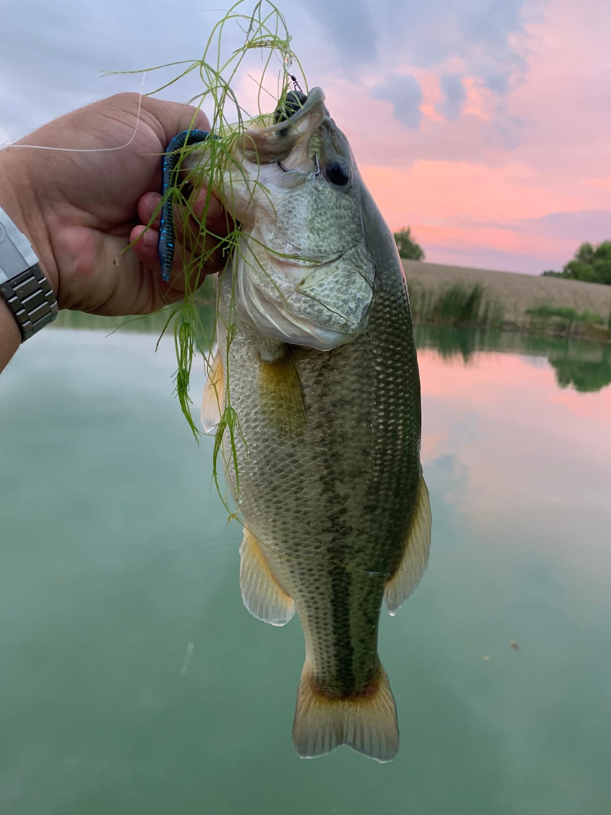 Penn Clash II Spinning Reel - Lightweight Saltwater Shore and Kayak Fishing Reel for Lure Fishing - Sea Fishing Reel for Bass, Pollack, Cod, Wrasse customer photo 2