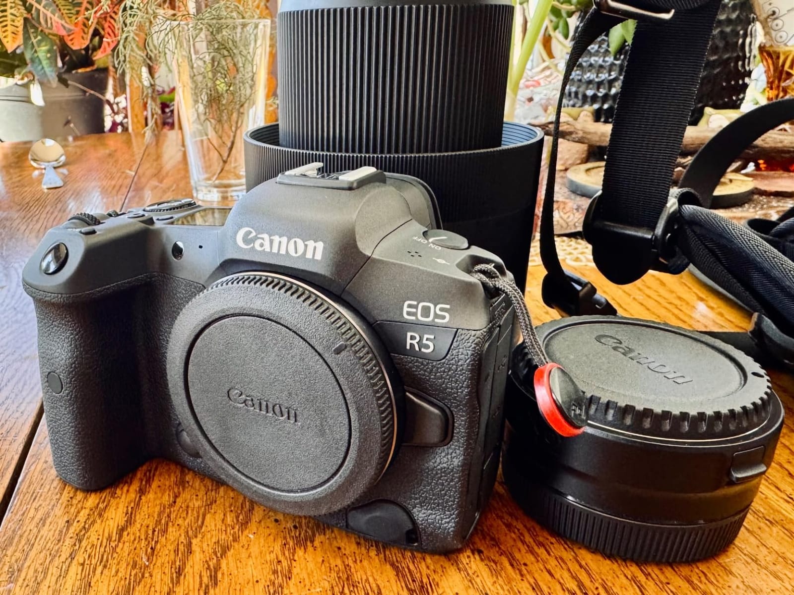 Canon EOS R5 Mirrorless Camera (Body Only), Full-Frame Hybrid Camera, 8K Video, 45 Megapixel CMOS Sensor, DIGIC X Image Processor, Up to 12 FPS, RF Mount, Black customer photo 2