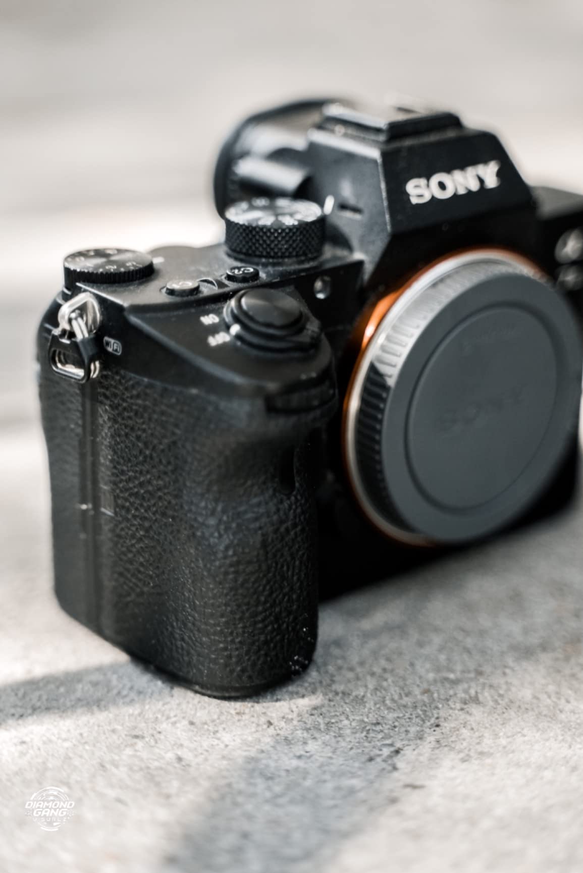 Sony Alpha a7S III Full-Frame Mirrorless Camera Body Black customer photo 1