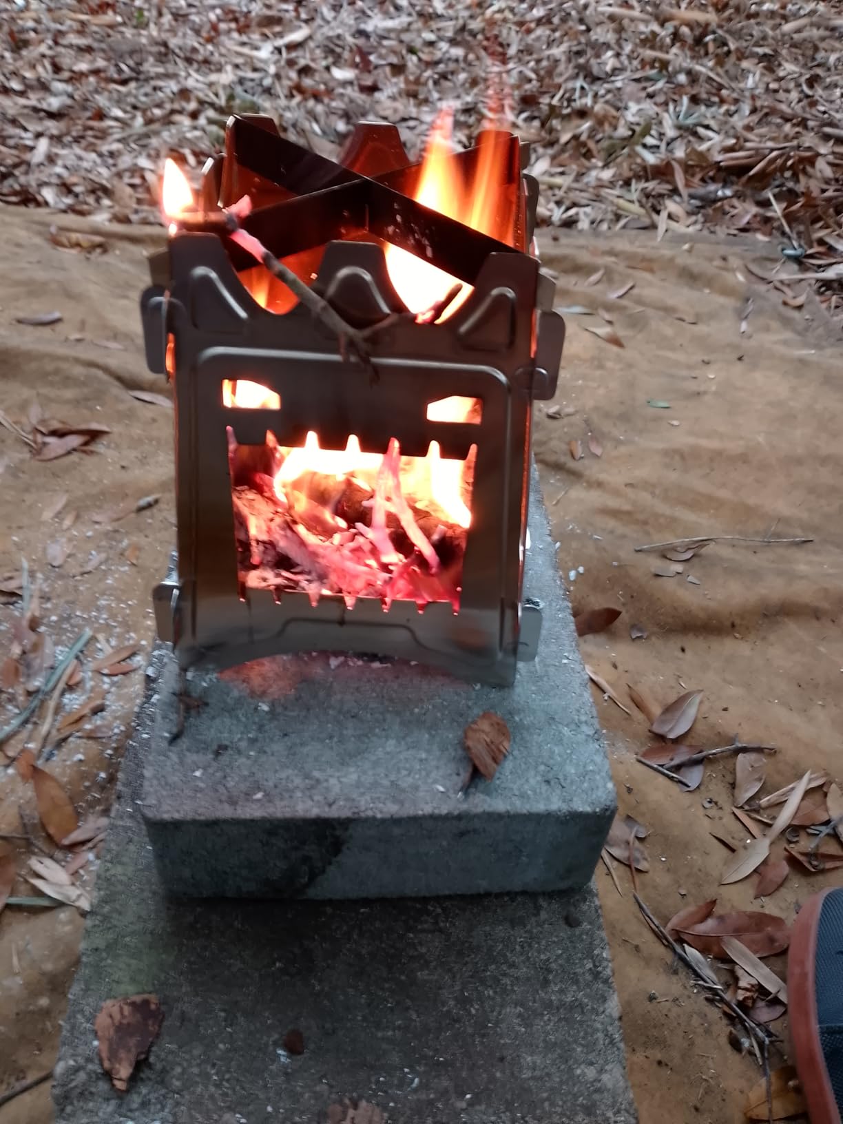 Portable Wood Burning Folding Camping Stove for Outdoor Hiking & Picnic customer photo 2