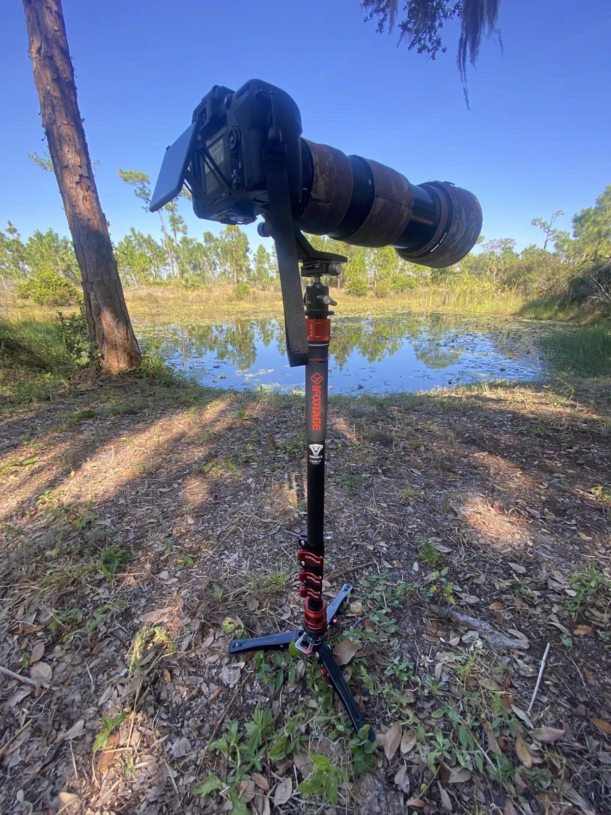 IFOOTAGE Cobra 3 C180F-P Carbon Fiber Camera Monopod 71