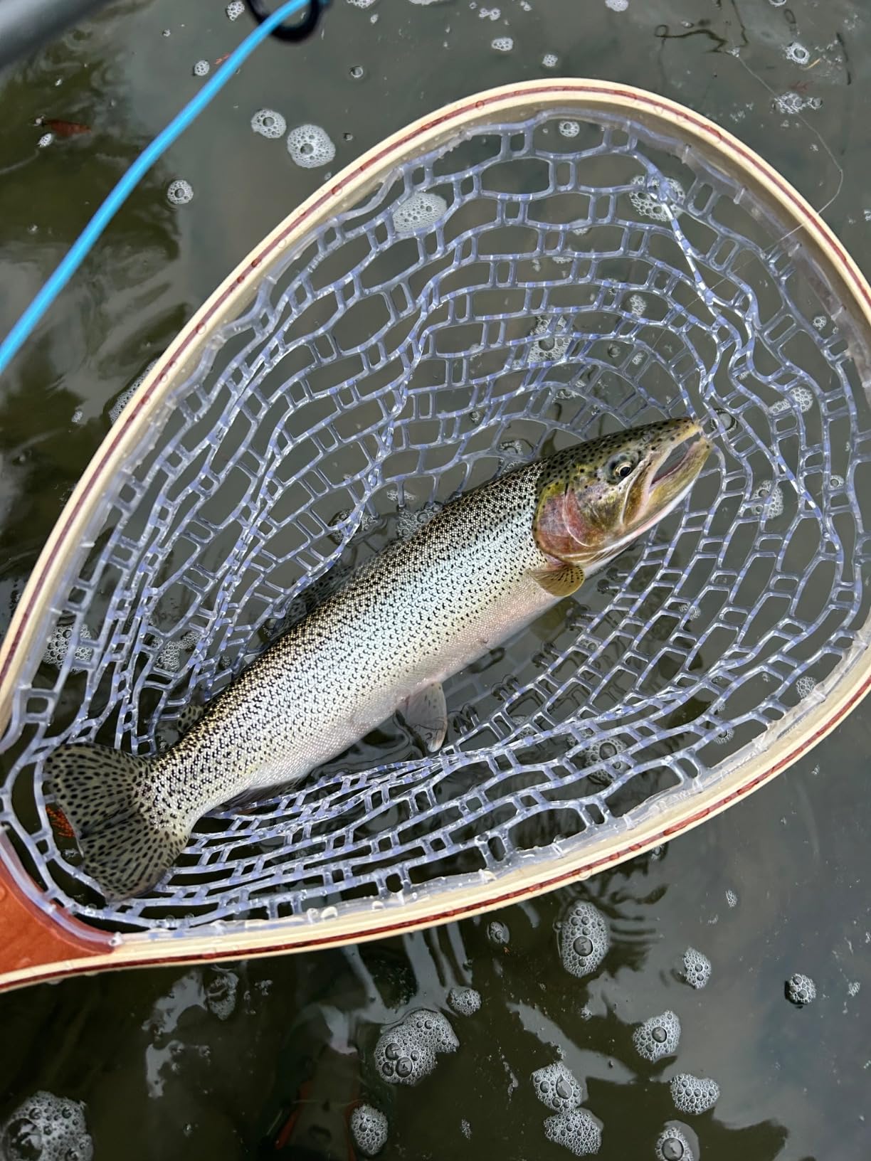 Fashionwu Fly Fishing Landing Net Trout Fishing Net, Soft Rubber Catch and Release Fish Net with Wooden Handle Frame, Gifts for Him customer photo 1