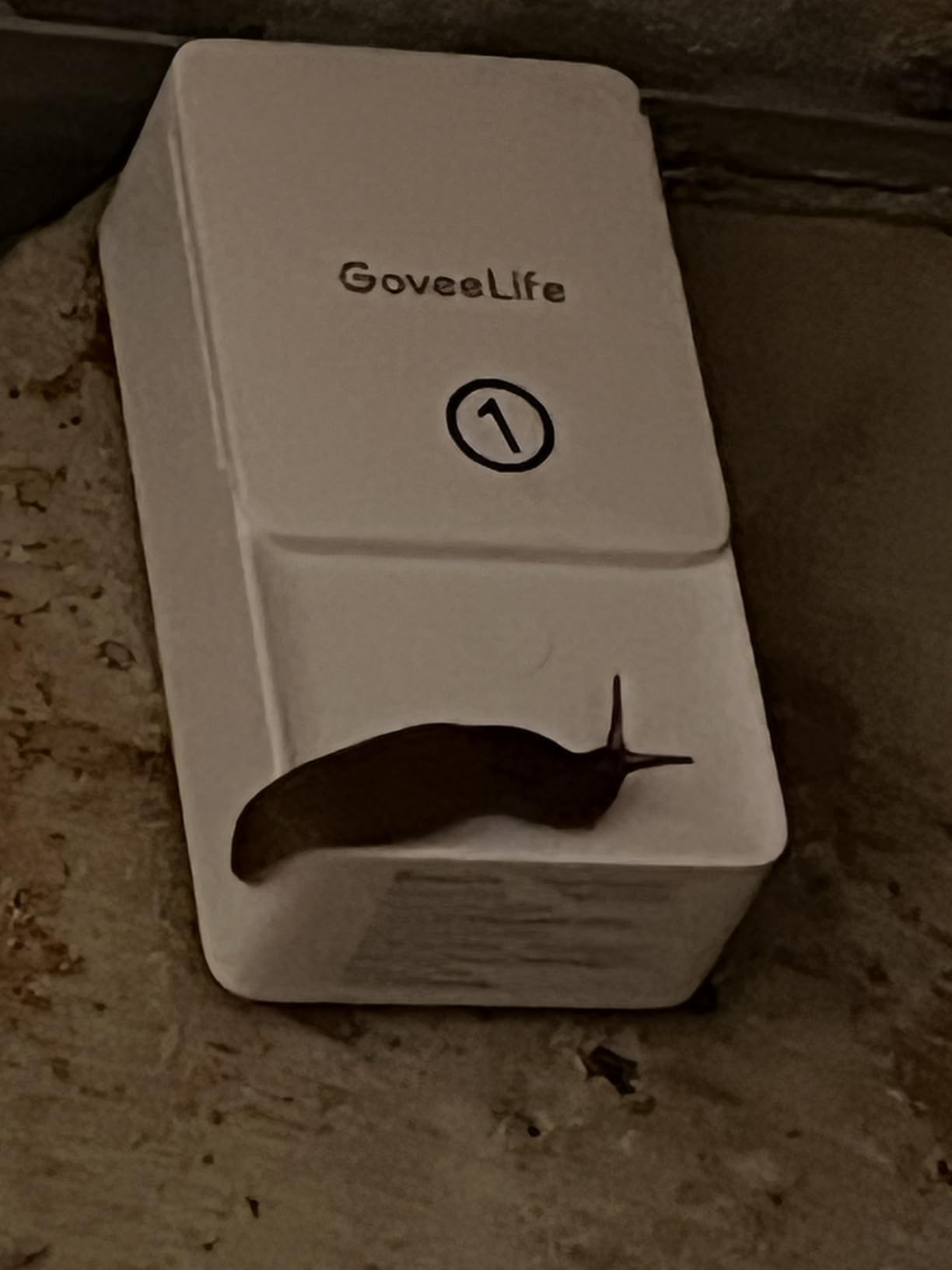 GoveeLife Smart Water Leak Detector 2 with 1968ft Ultra-Long Range, 6 Pack customer photo 1