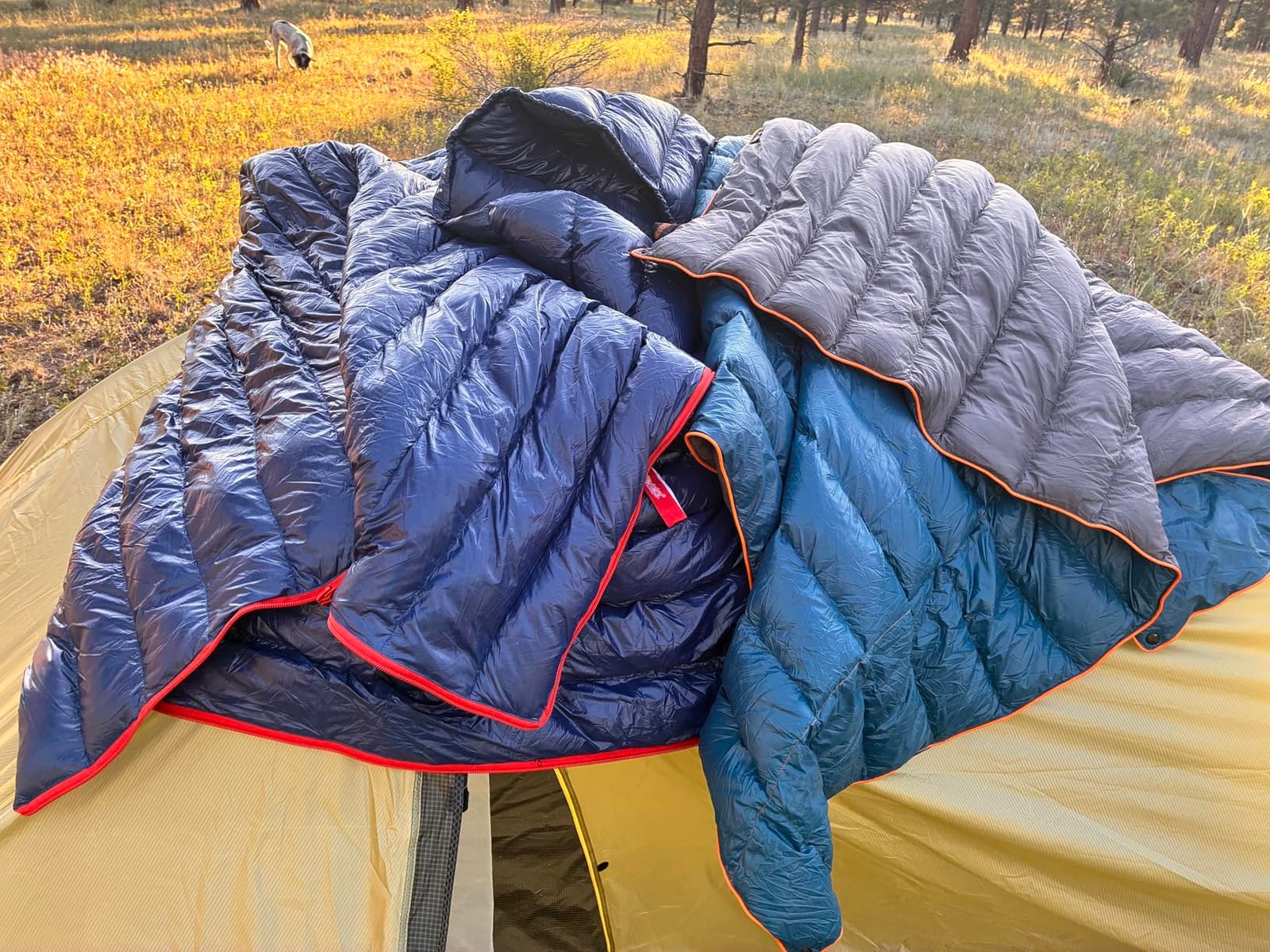 ZOOOBELIVES Down Camping Blanket, 650 Fill Power, 1.35 lb Packable Blanket, 79 x 54 in Quilt with Snap Footbox for Camping, Road Trips and Home, AlpliveR300 customer photo 1