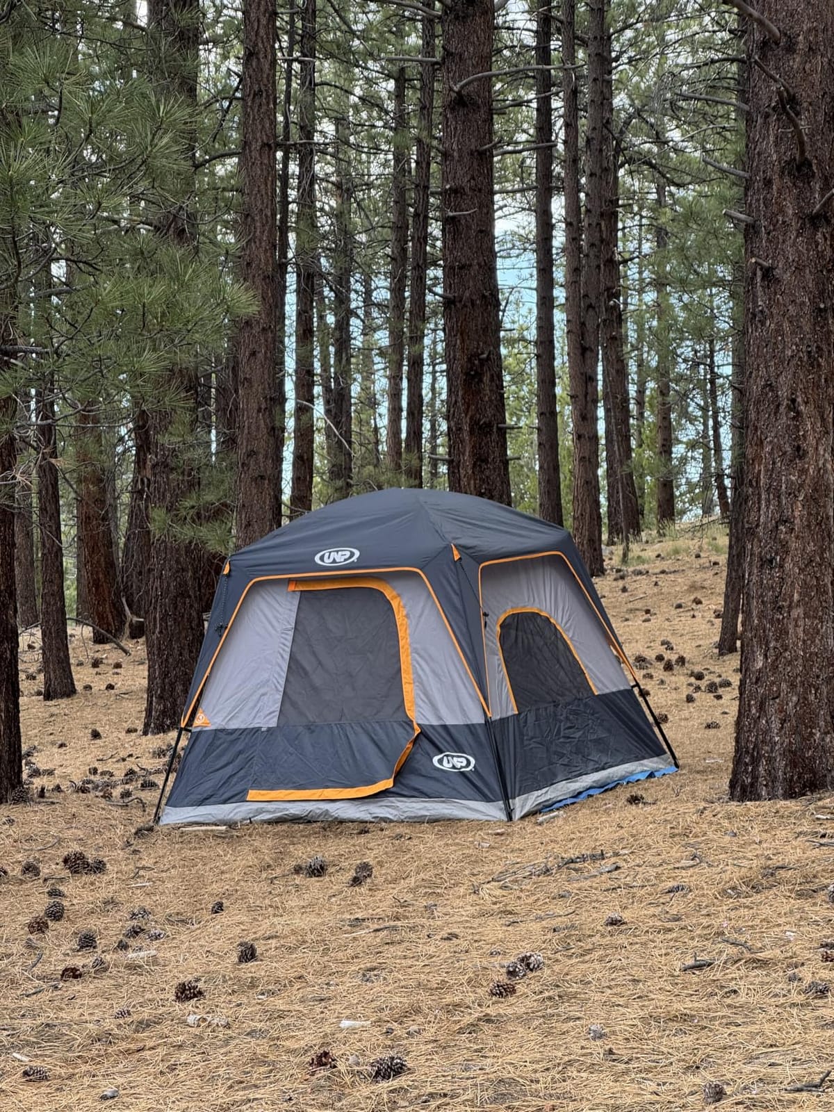 UNP 2/4/6/8 Person Tent, Portable Cabin Tent, Camping Tent 4-Person Easy Set Up, Waterproof with Top Rainfly for Outdoor Camping/Hiking customer photo 1