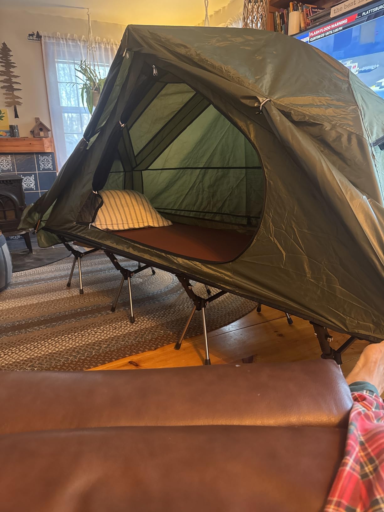 Night Cat Camping Cot Tent - Waterproof 1-Person Off-Ground Combo Cot Bed for Adults Portable Easy Set-up Tent Green 27.5'' Width customer photo 2