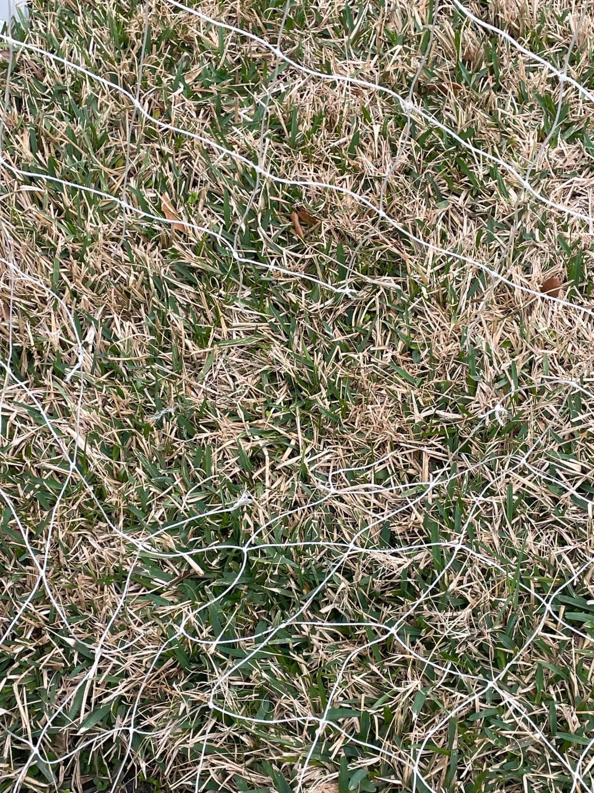 Soccer Goal 12×6, 8×6 and 6×4 FT Soccer Goals for Backyard, 2