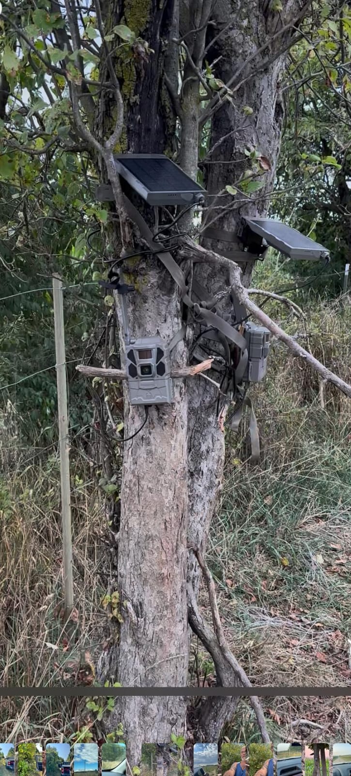 Tactacam REVEAL X Gen 3.0 Cellular Trail Camera - Multi Carrier, HD Photos & Videos, Pre-Installed Antenna, Built-in GPS, Best Battery Life, Low-Glow IR Flash, Fast Trigger Speed + 32GB SD Card (2 PK) customer photo 2