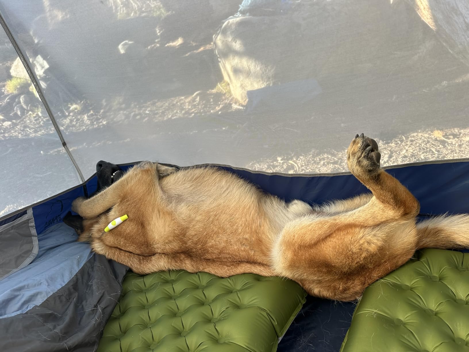 TREKOLOGY Sleeping Pad for Camping– Ultra-Lightweight, 4