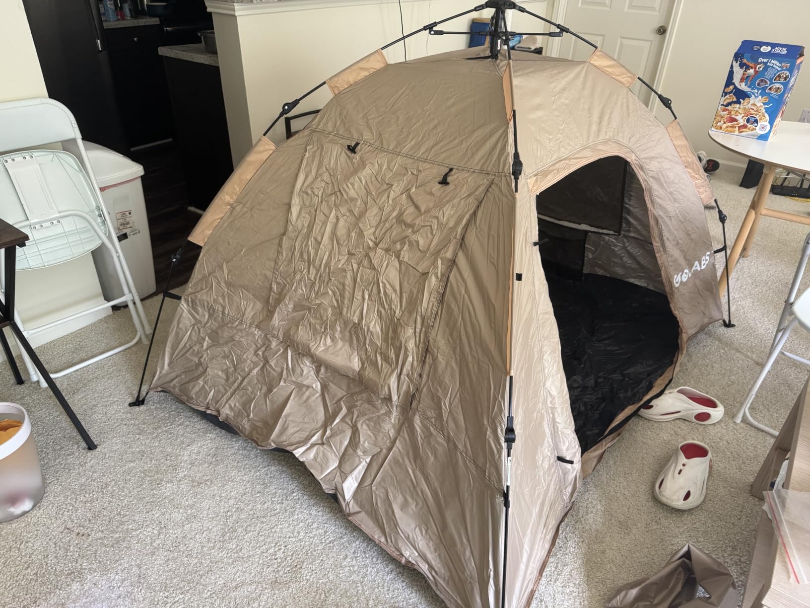 Golabs Pop Up Camping Tent for 2/3 Person, Quick Setup by Pre-Attached Pole customer photo 1