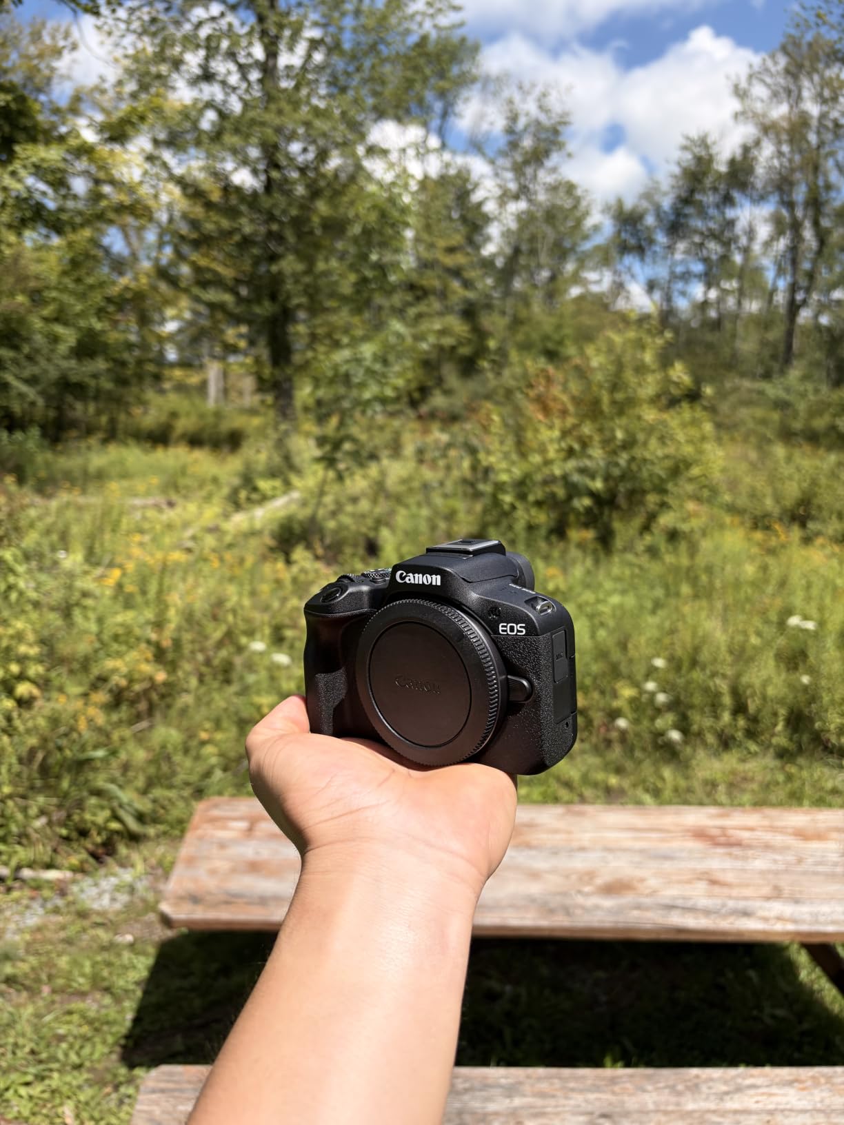 Canon EOS R50 Mirrorless Camera Kit – APS-C RF Camera with 18-45mm Lens, 4K Video, Dual Pixel AF II & Vari-Angle Touchscreen + Shoulder Bag + 2 x 64GB Cards customer photo 2